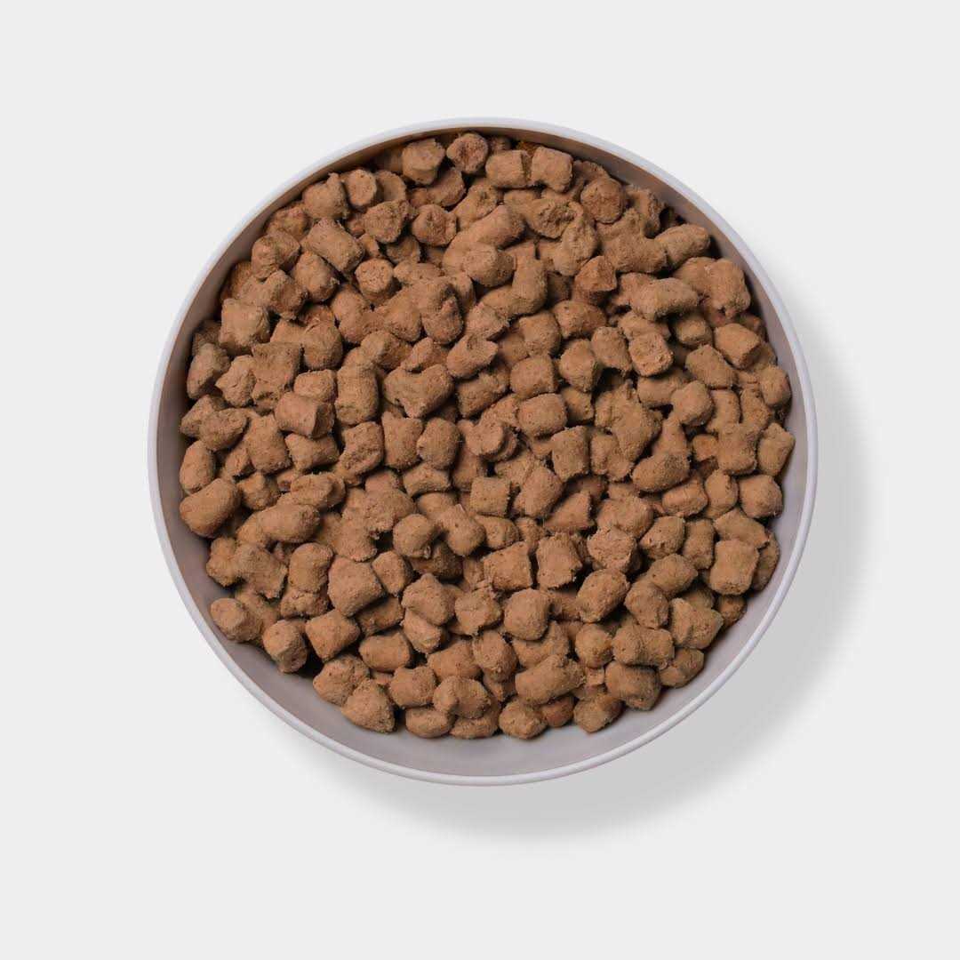 Freeze Dried Raw Beef Dog Food M6235