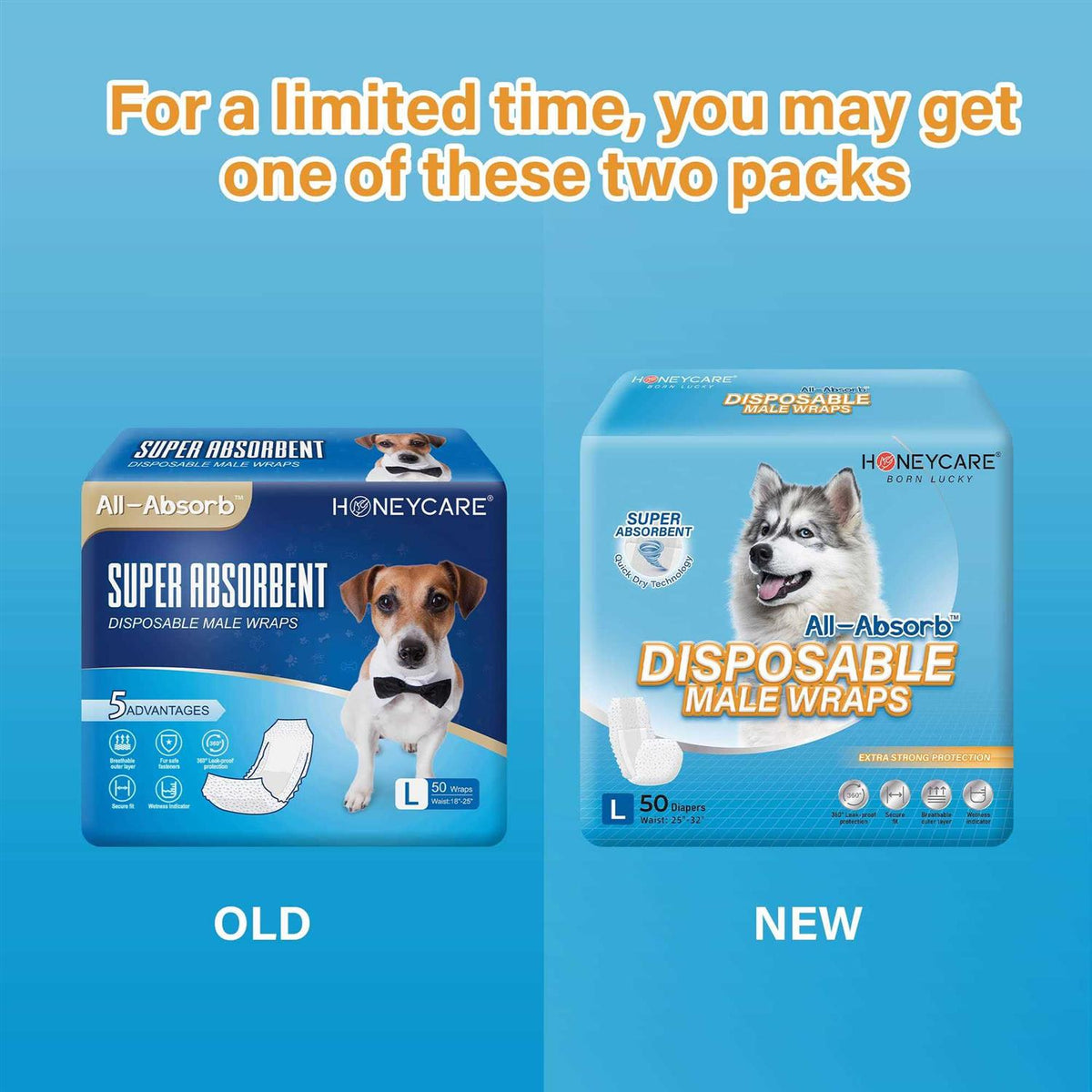 Male Dog Wrap M663