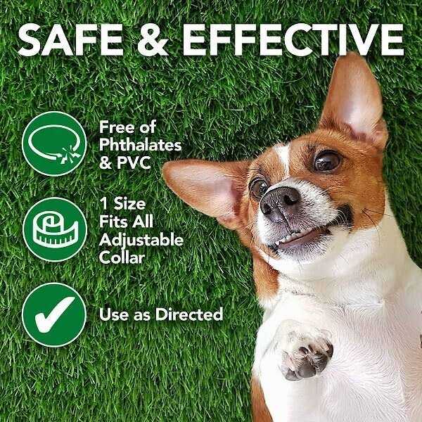 Flea and Tick Repellent Dog Collar T470188
