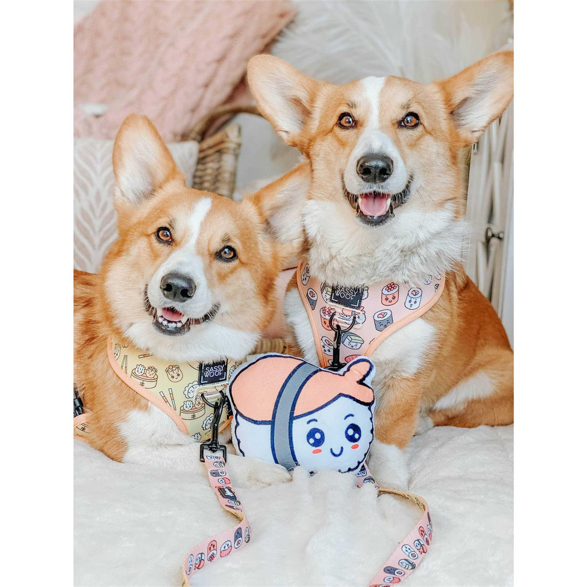 Reversible Dog Harness O6036