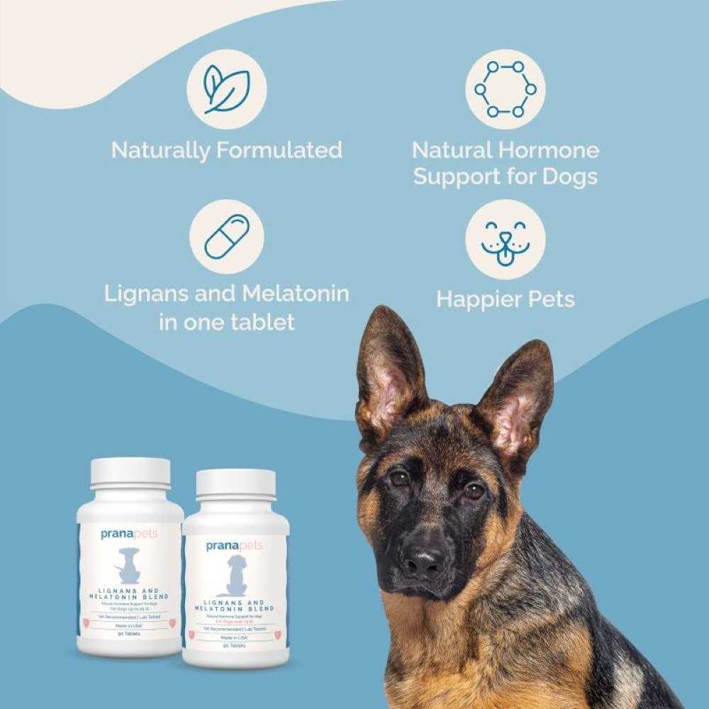 Lignans & Melatonin Blend Medicine for Dogs M130492