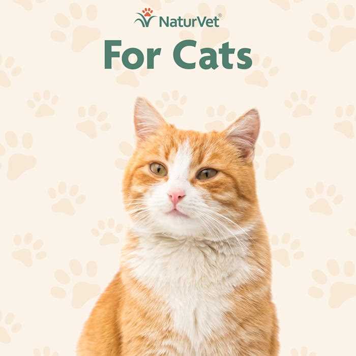Skin & Coat Plus Omegas for Cats M57175