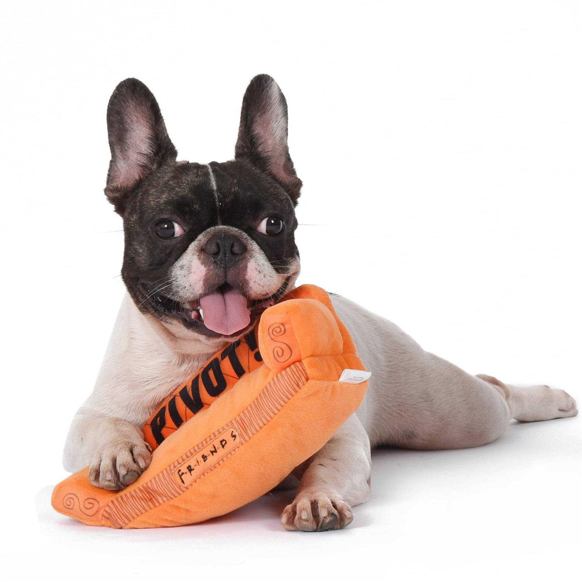 Plush Squeak Toy L953