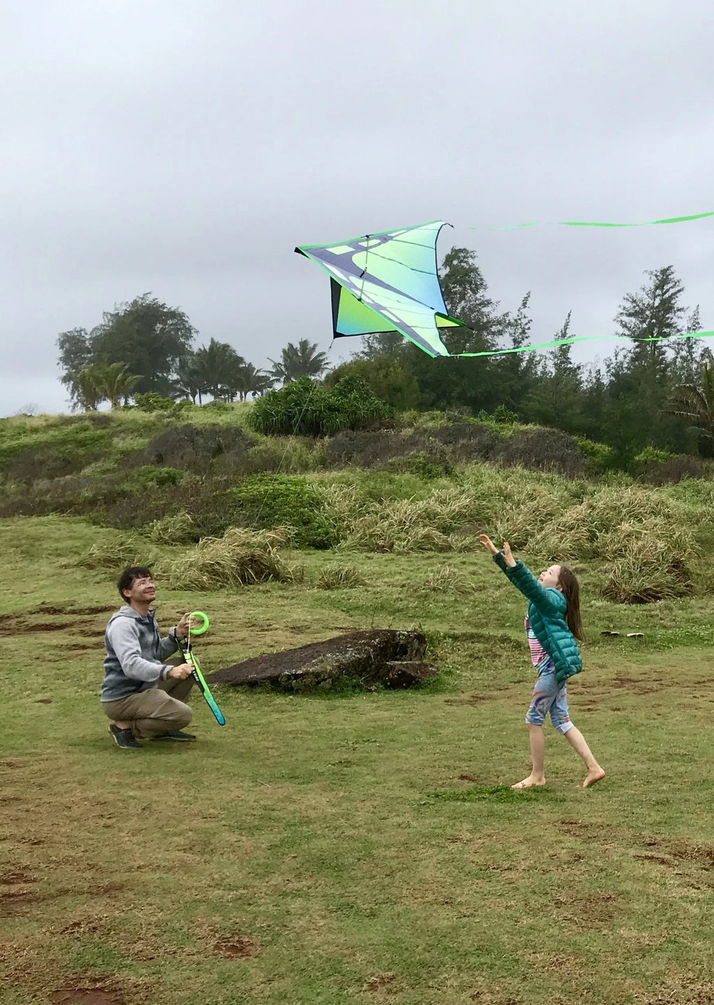Delta Kite O493
