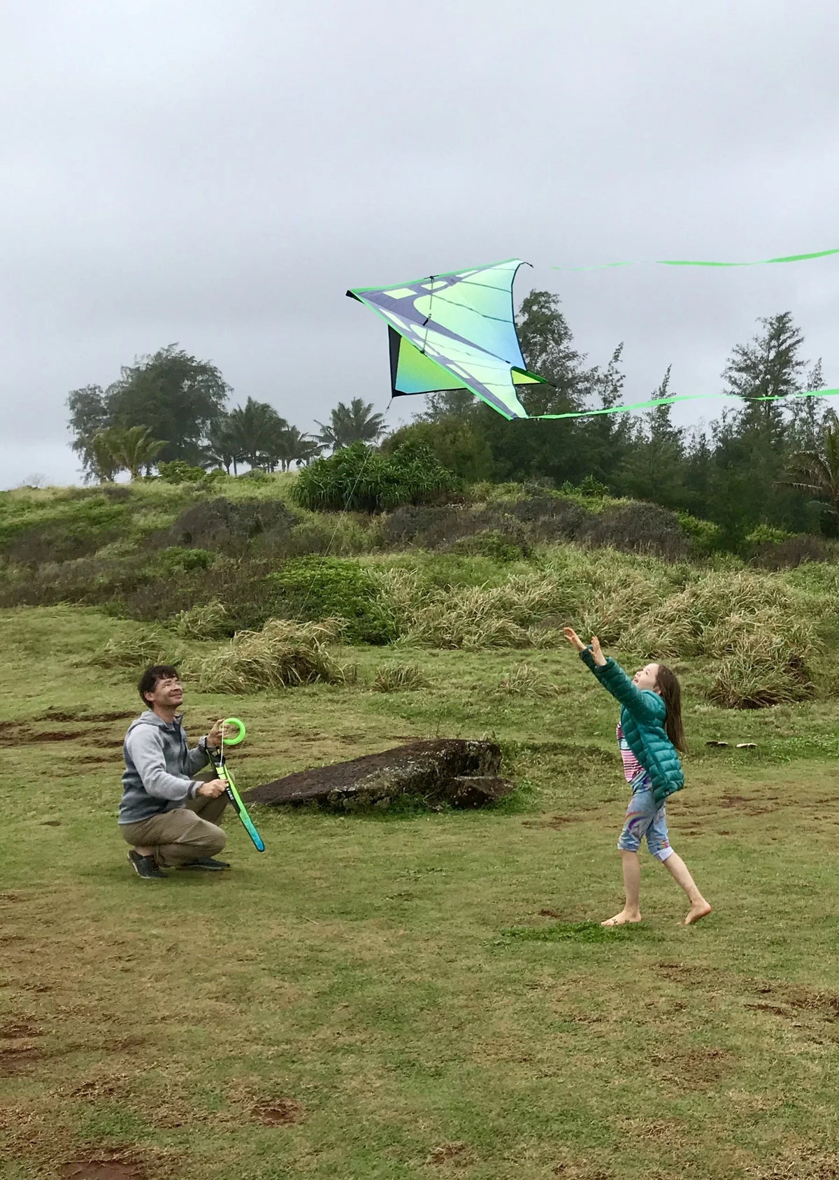 Delta Kite O493