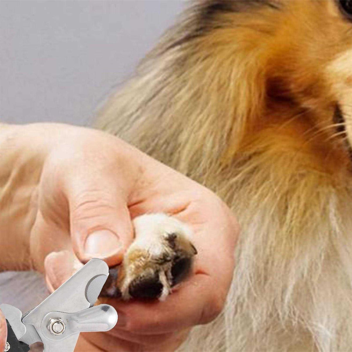 2 Pack Pet Nail Trimmer Clipper Set with 2 Nail Files Y73814