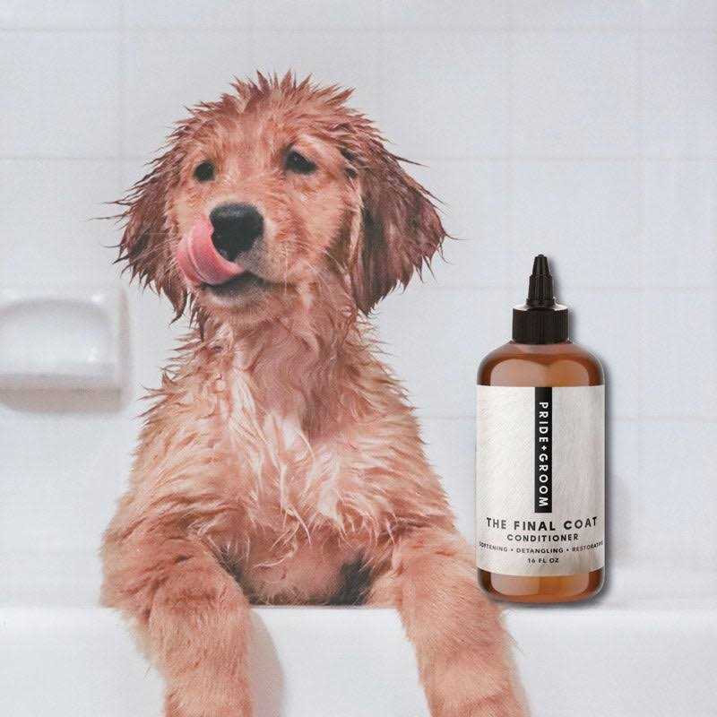 Dog Conditioner for Shedders T58498
