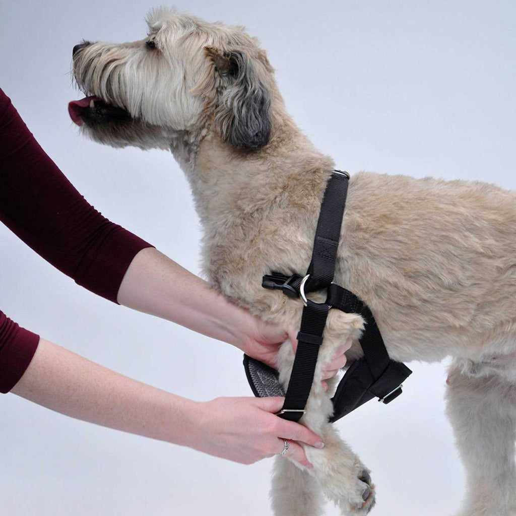 Easy Rider Car Harness P13811