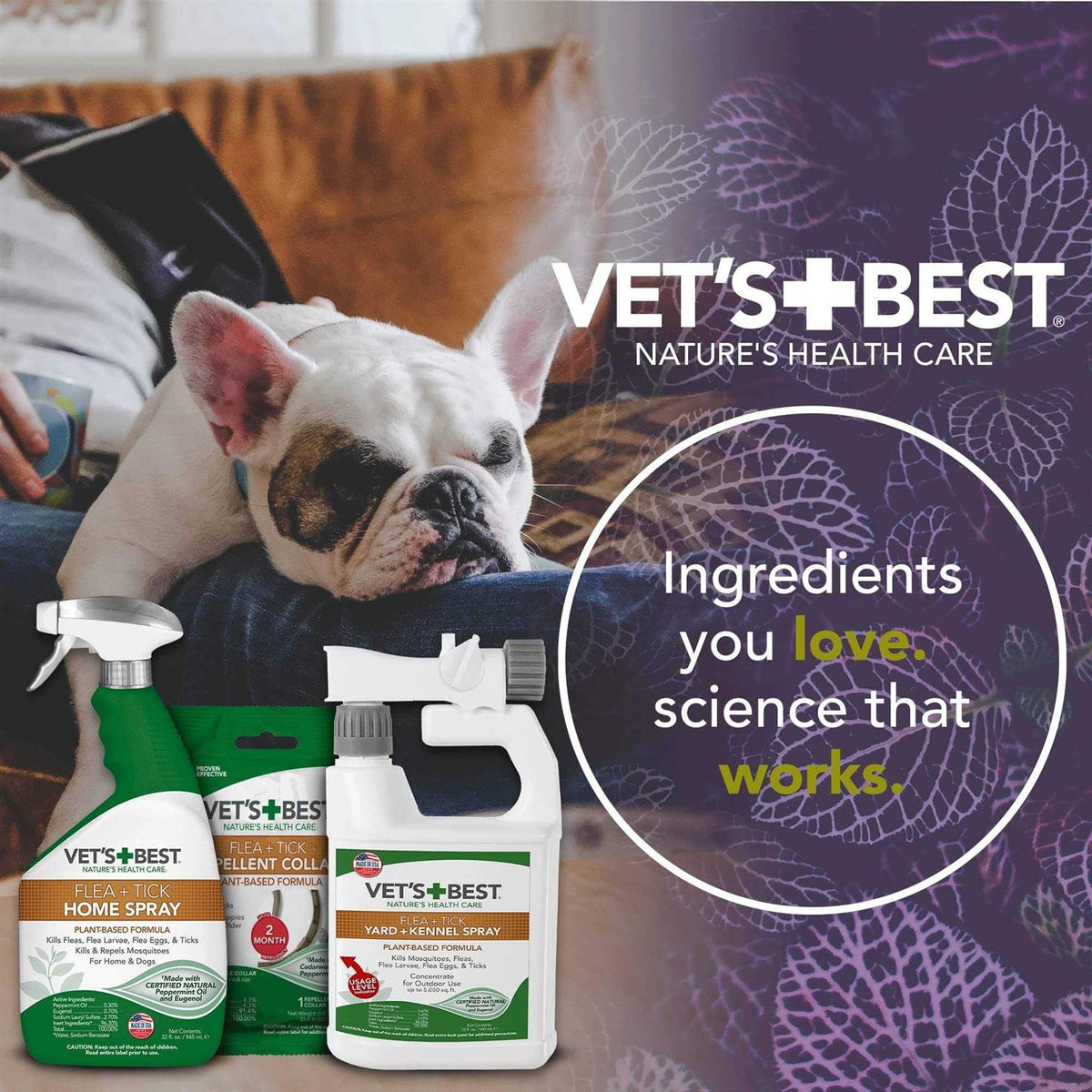 Flea and Tick Repellent Dog Collar T470188