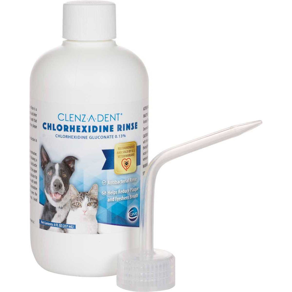 Chlorhexidine Rinse 8oz Bottle M218699