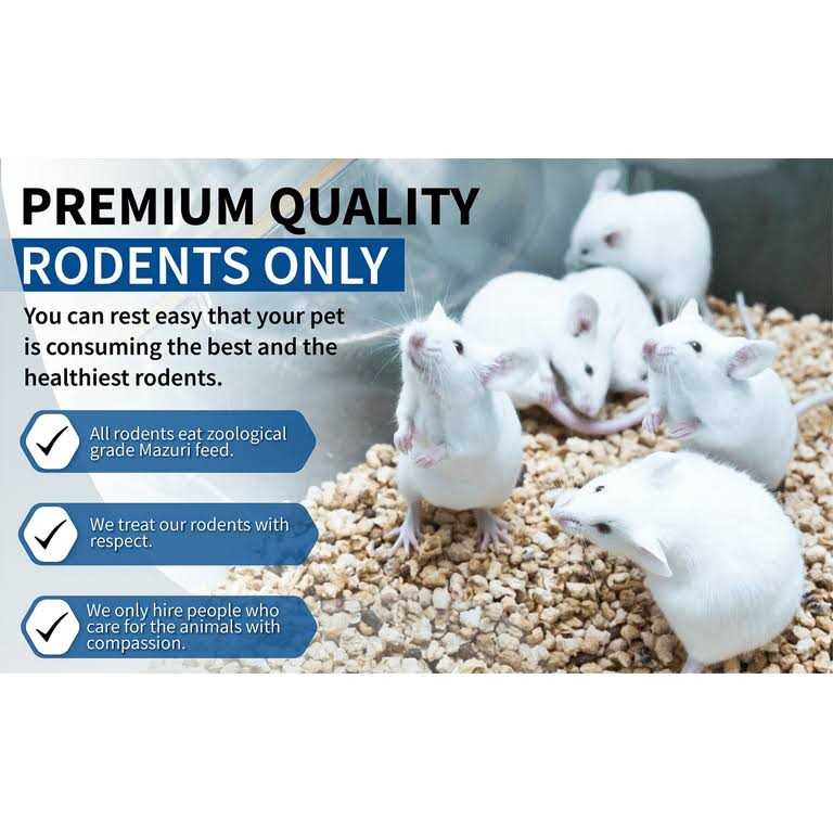 Frozen Mice Feeders Combo Pack, 150 Count O62667
