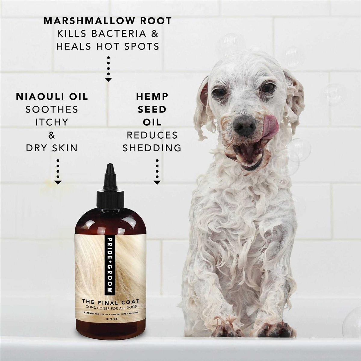 Dog Conditioner V498586