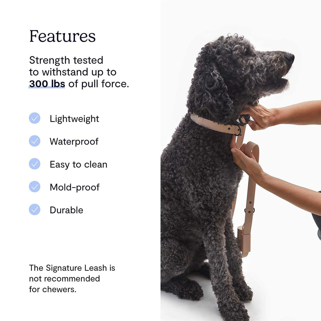 Dog Leash U382