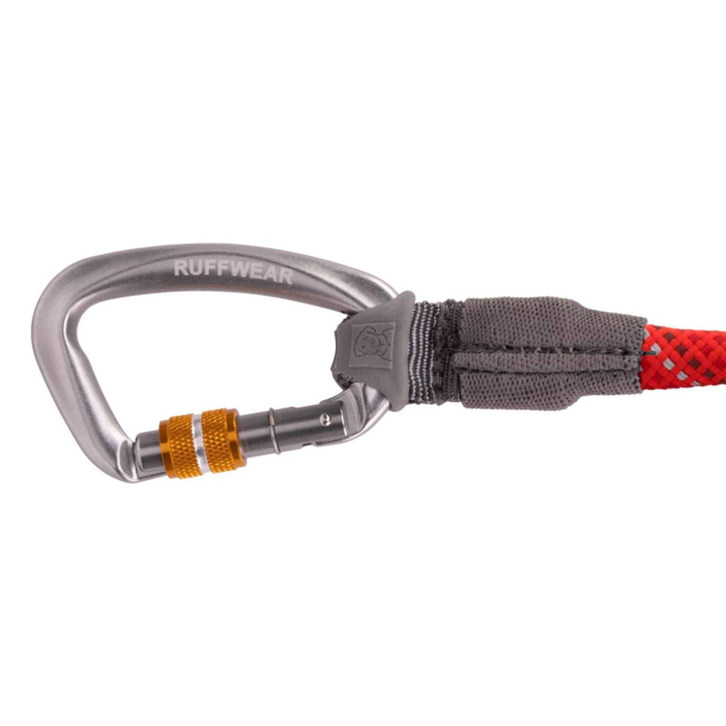 Leash C765832