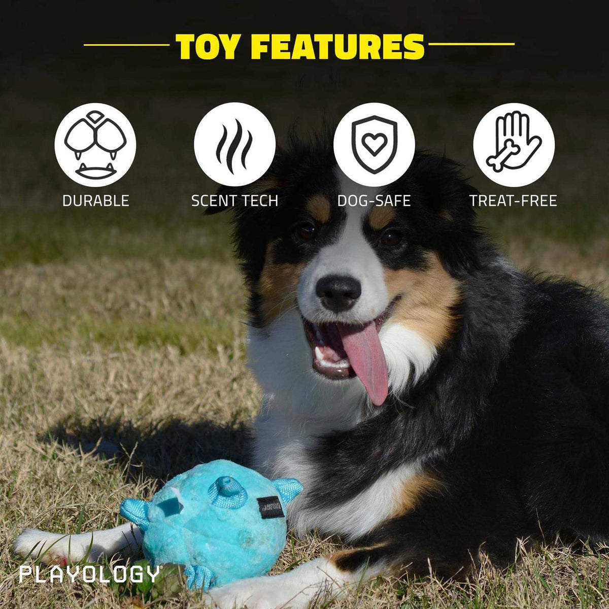 Sensory Ball Dog Toy W840845
