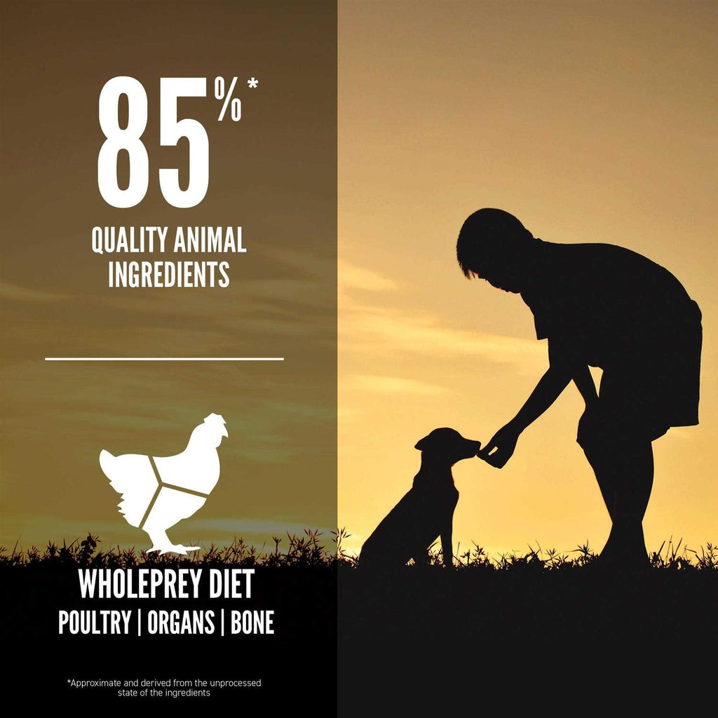 Large Breed Dry Dog Food Y15272