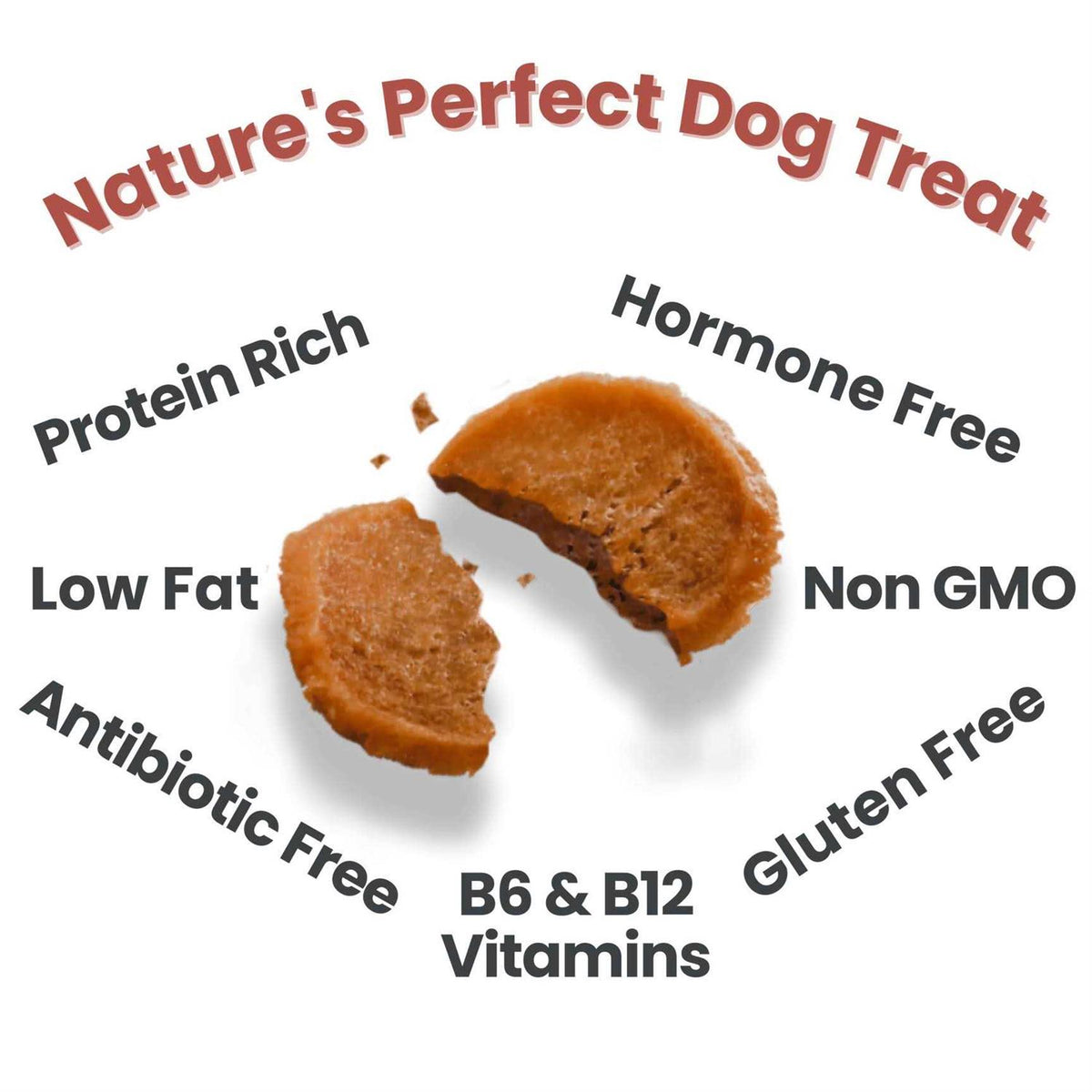 Turkey Chips Dog Treats A520