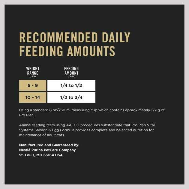 Adult Dry Cat Food D213