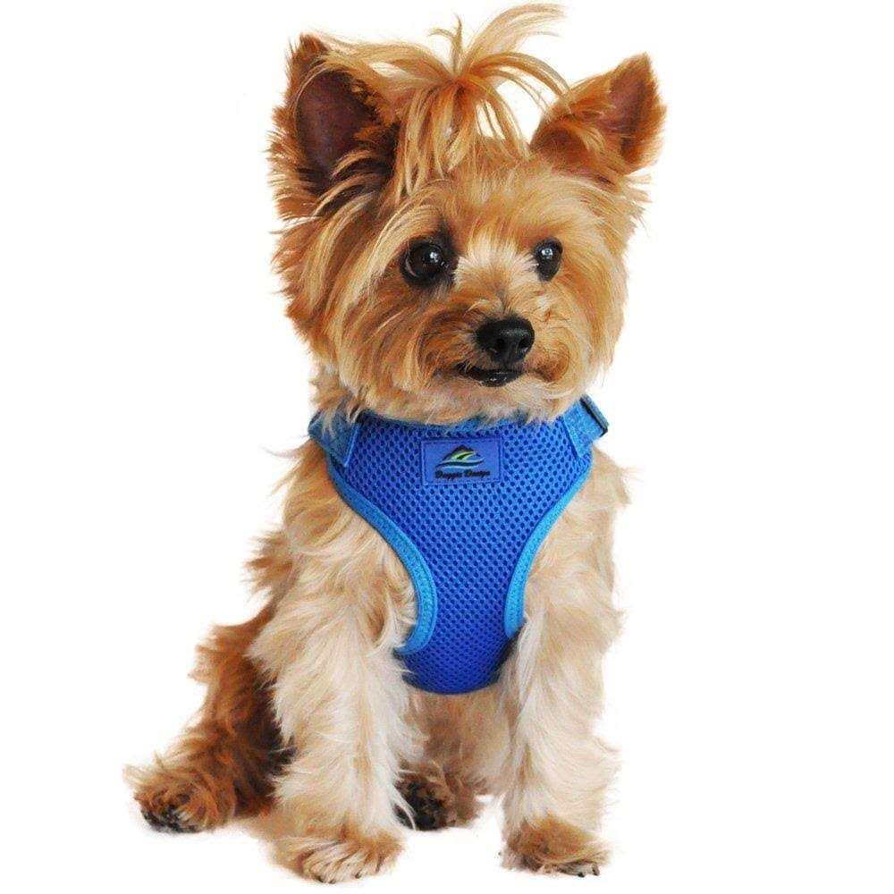 Wrap and Snap Choke Free Dog Harness P877615