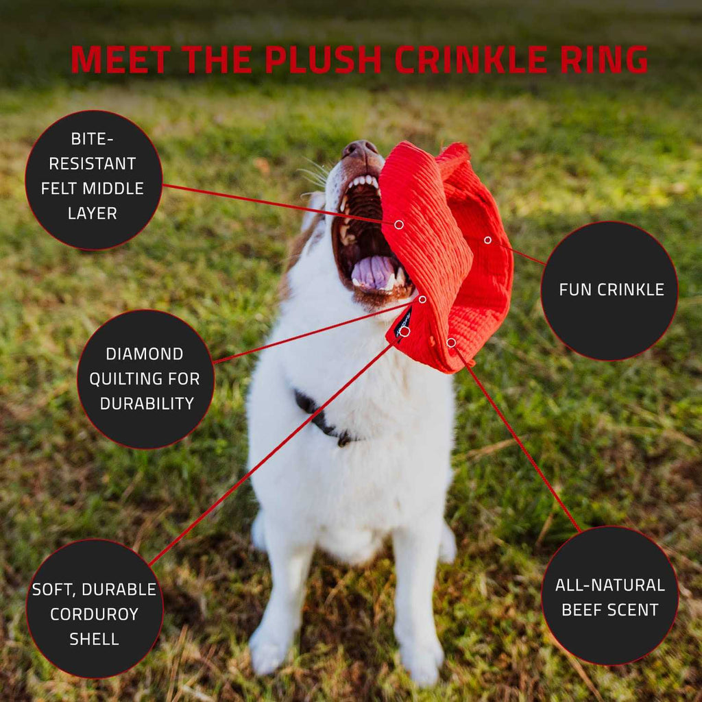 Plush Crinkle Ring Beef Scented Dog Toy L616615