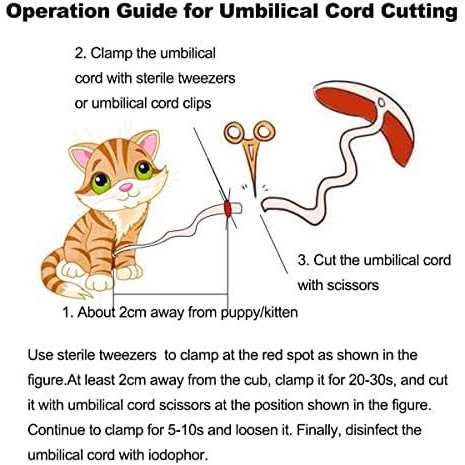 Whelping Kit with 12pcs Whelping Collars H510