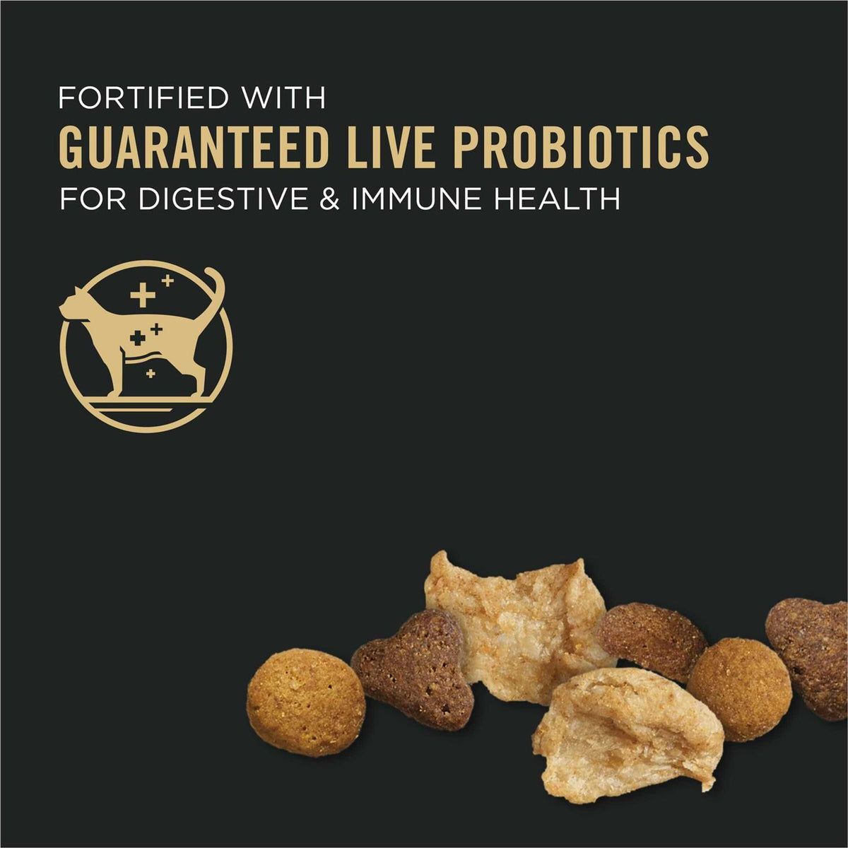 Dry Kitten Food Z1663