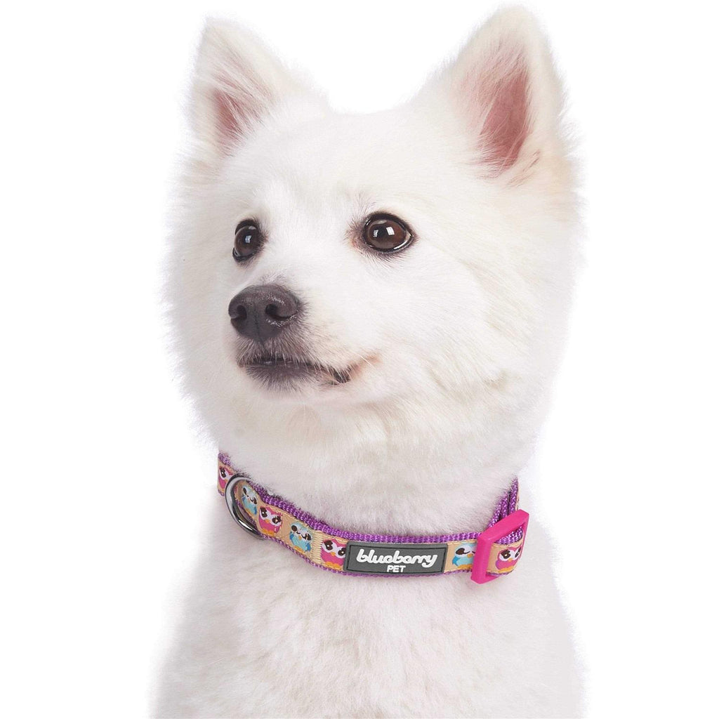 Dog Collar P6970