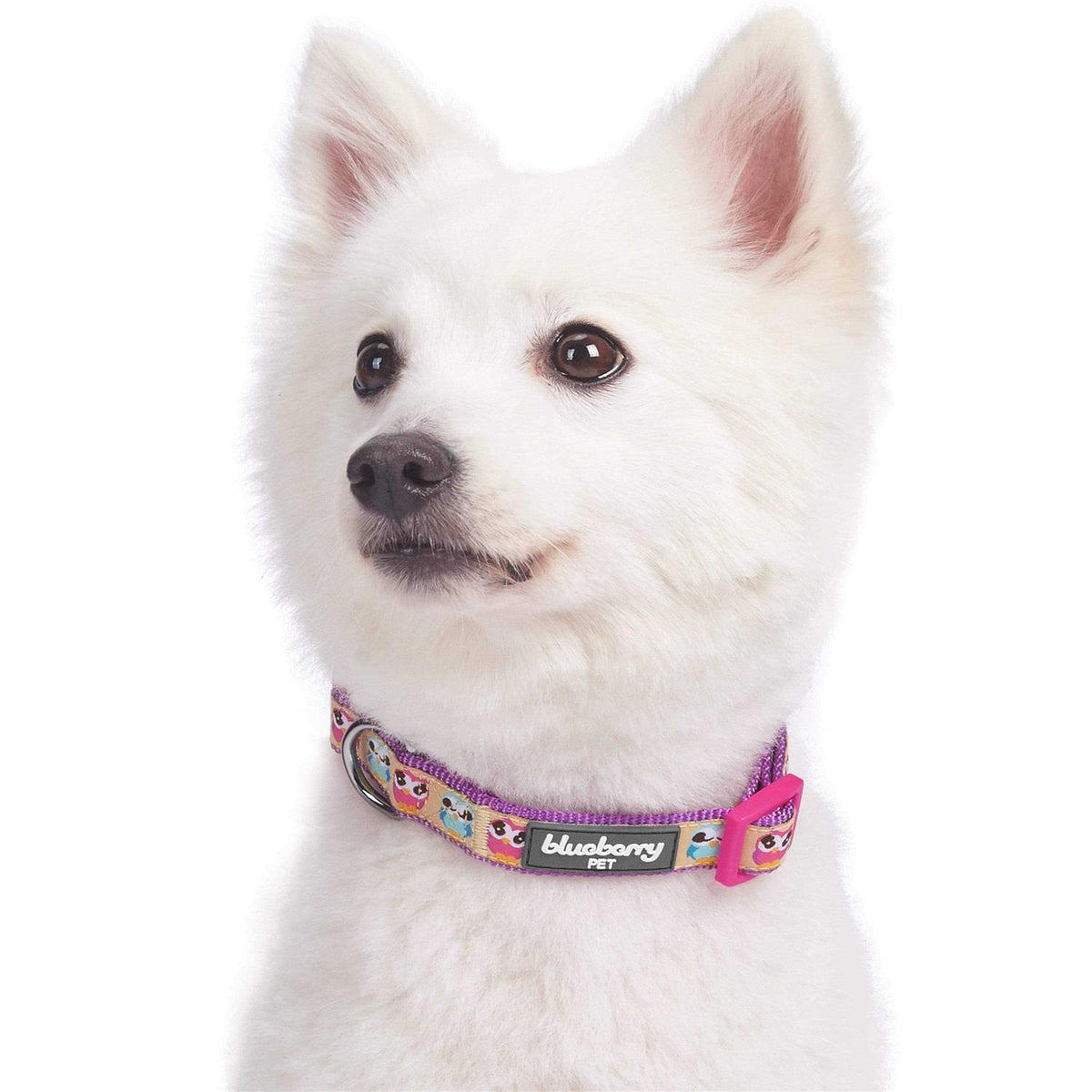 Dog Collar P6970