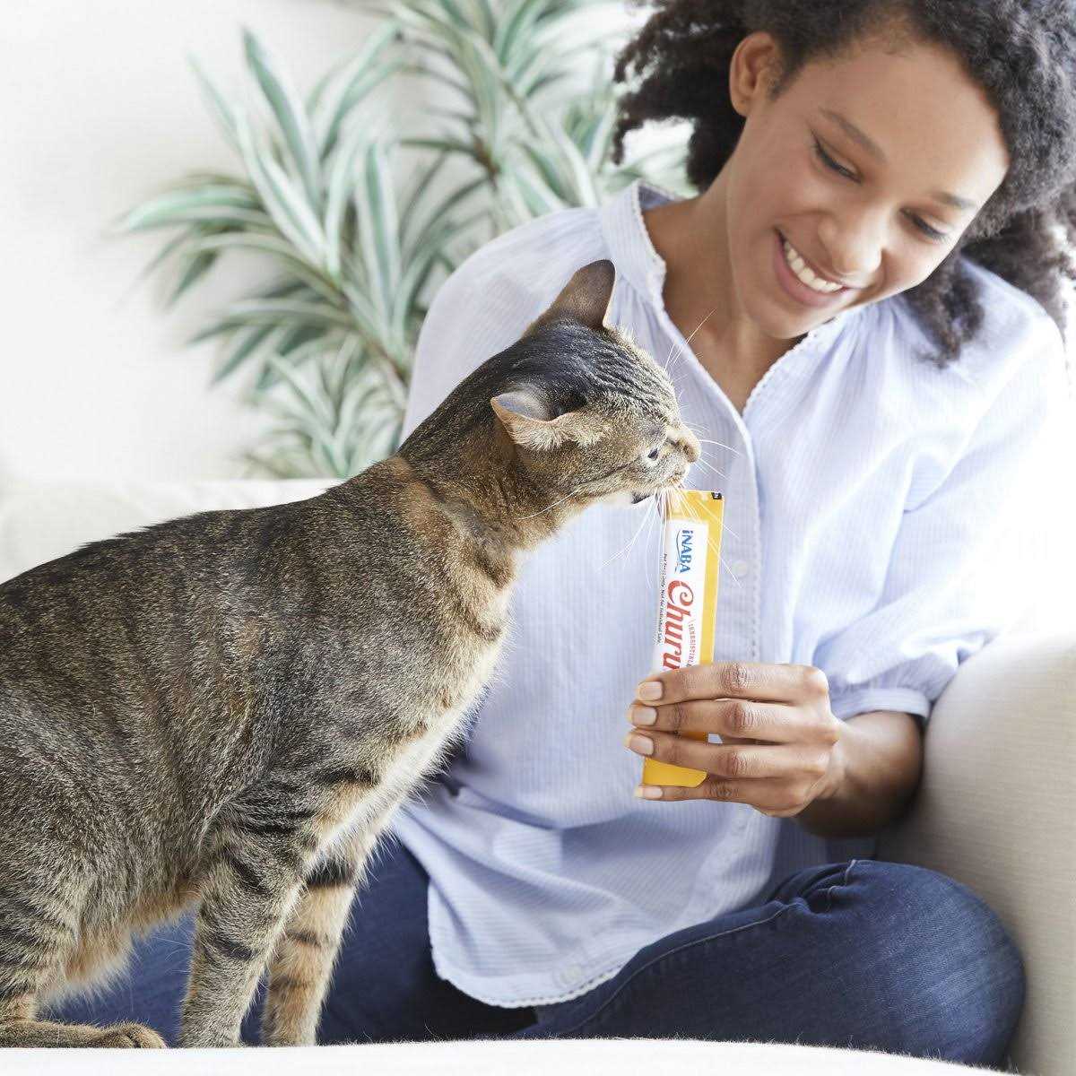 Cat Treat X524379