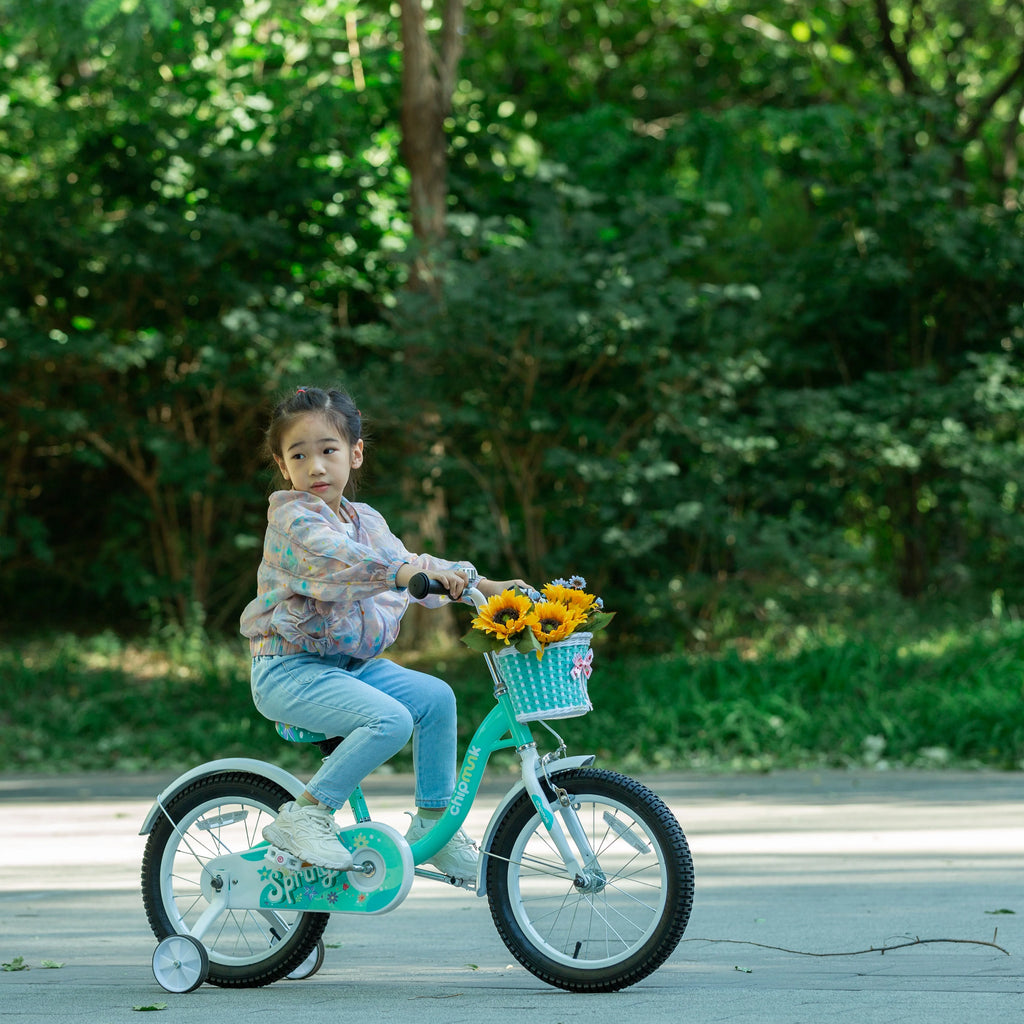 16 Inch Kids Bike with Basket R9733