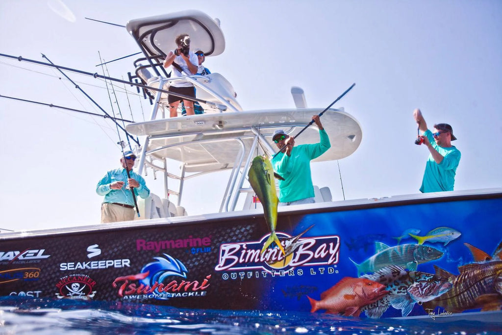 Spinning Reel G3164