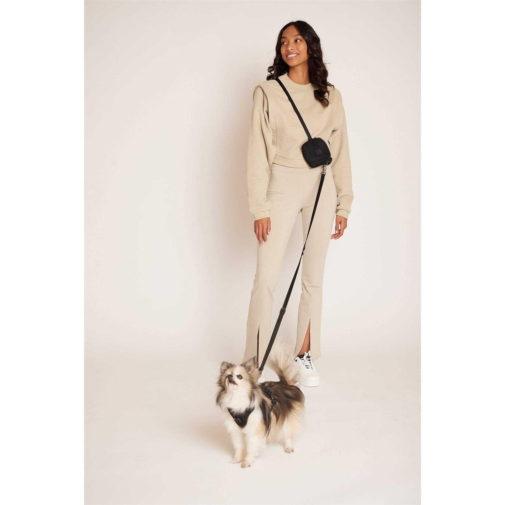 Hands Free Leash C7994