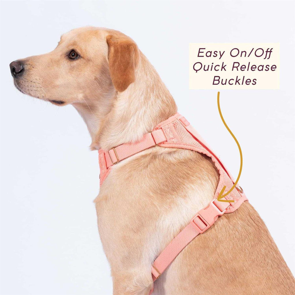 Huggie Harness Z90356