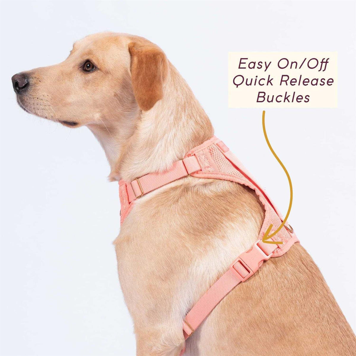 Huggie Harness Z90356