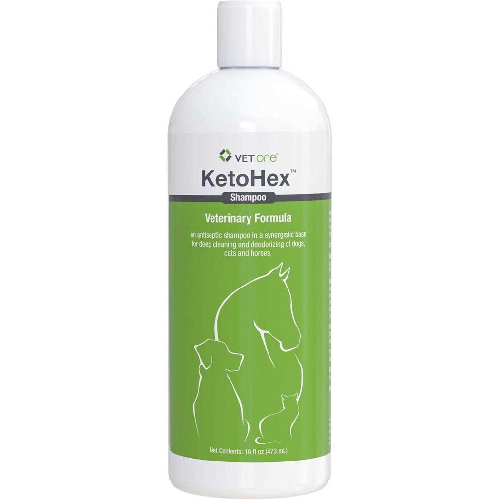Shampoo P5617