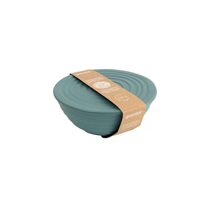 Bowl with lid J84161