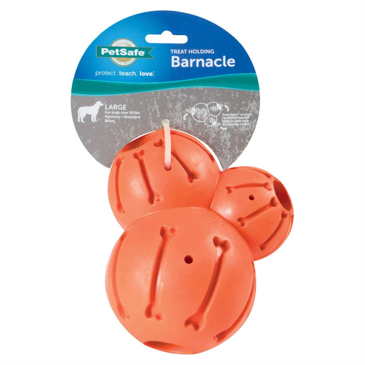 Barnacle V45336