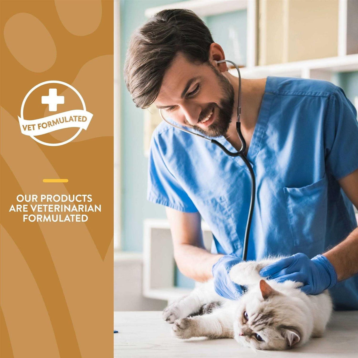 Skin & Coat Plus Omegas for Cats M57175