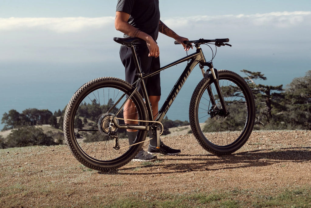 29 Mountain Bike, 19-in Frame, 8 Speeds, Black A454749