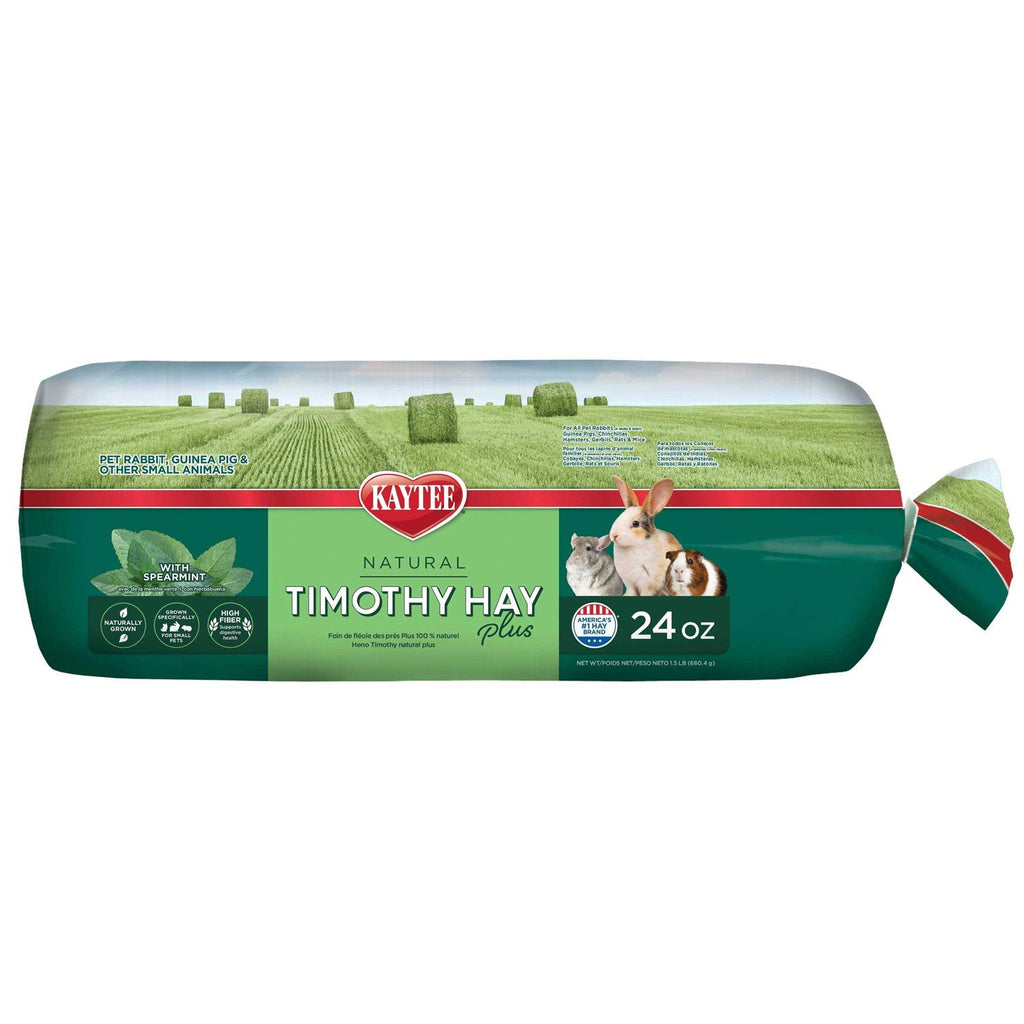 Timothy Hay U64835