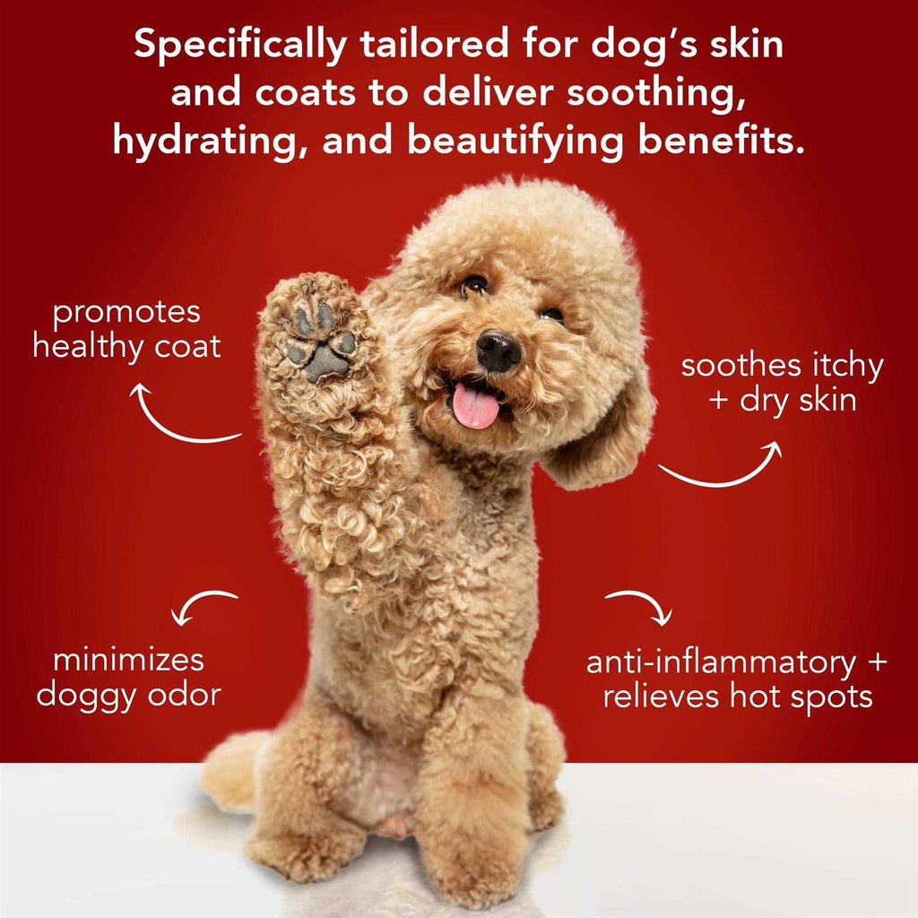 Dog Conditioner V498586
