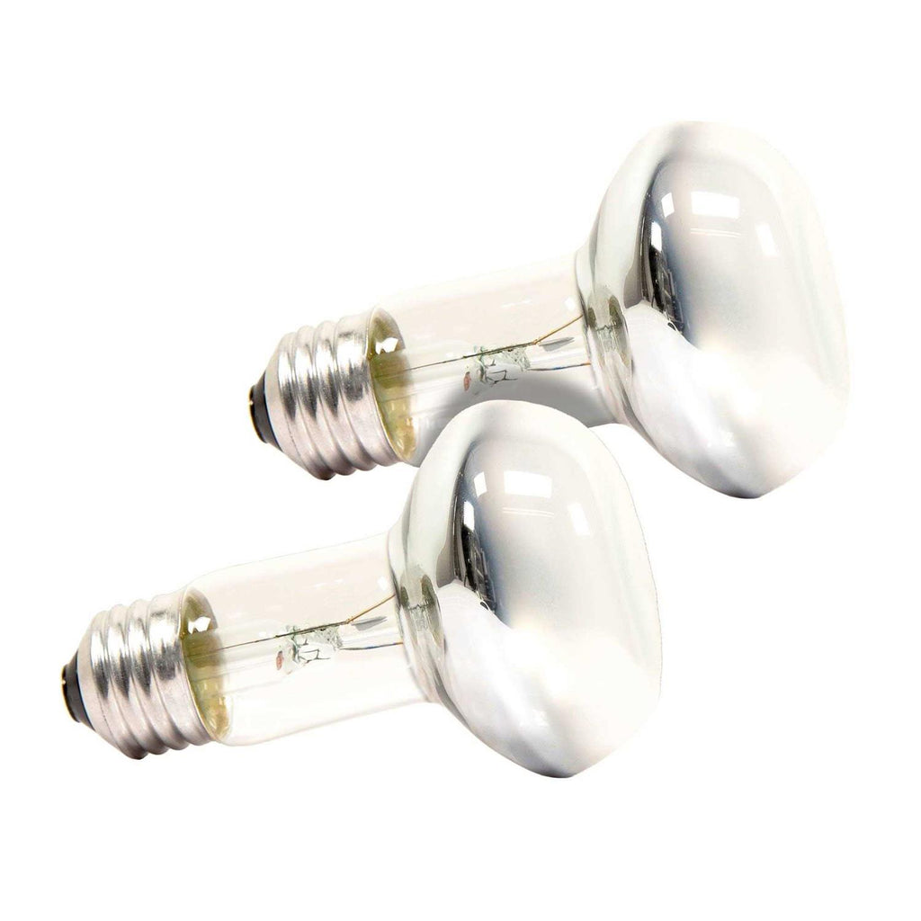 Reptile Basking Spot Lamp Y613849