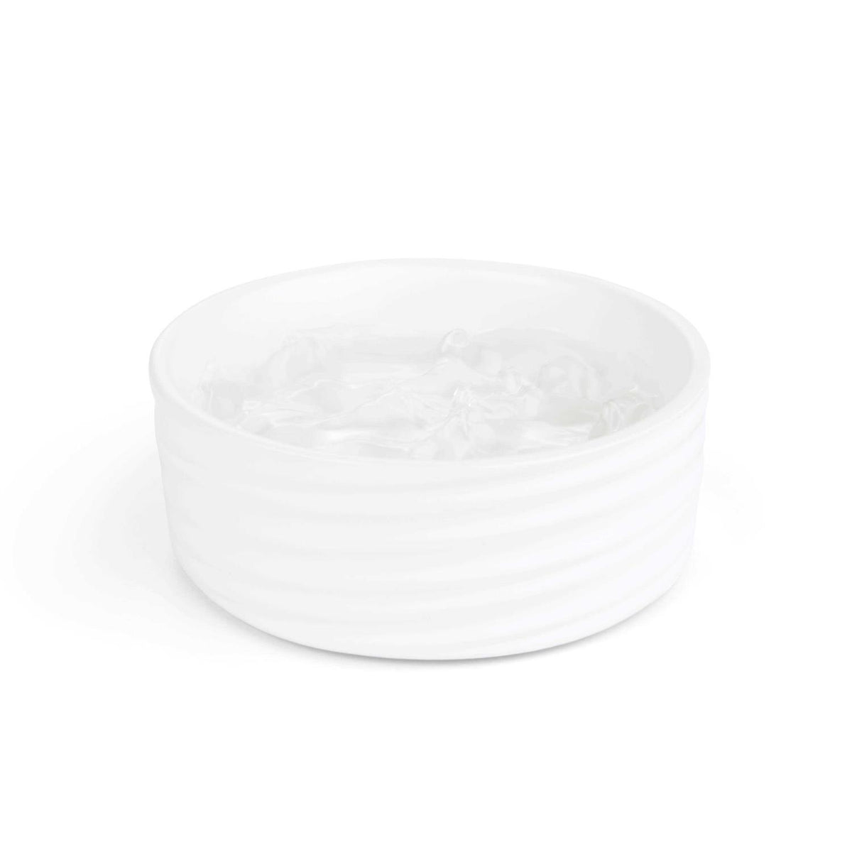 Ceramic Dog Bowl Q8598