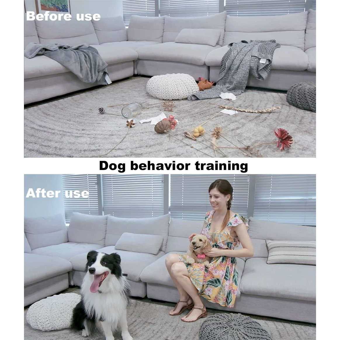 Rechargeable Electric Dog Training Collar for 2 Dogs C663