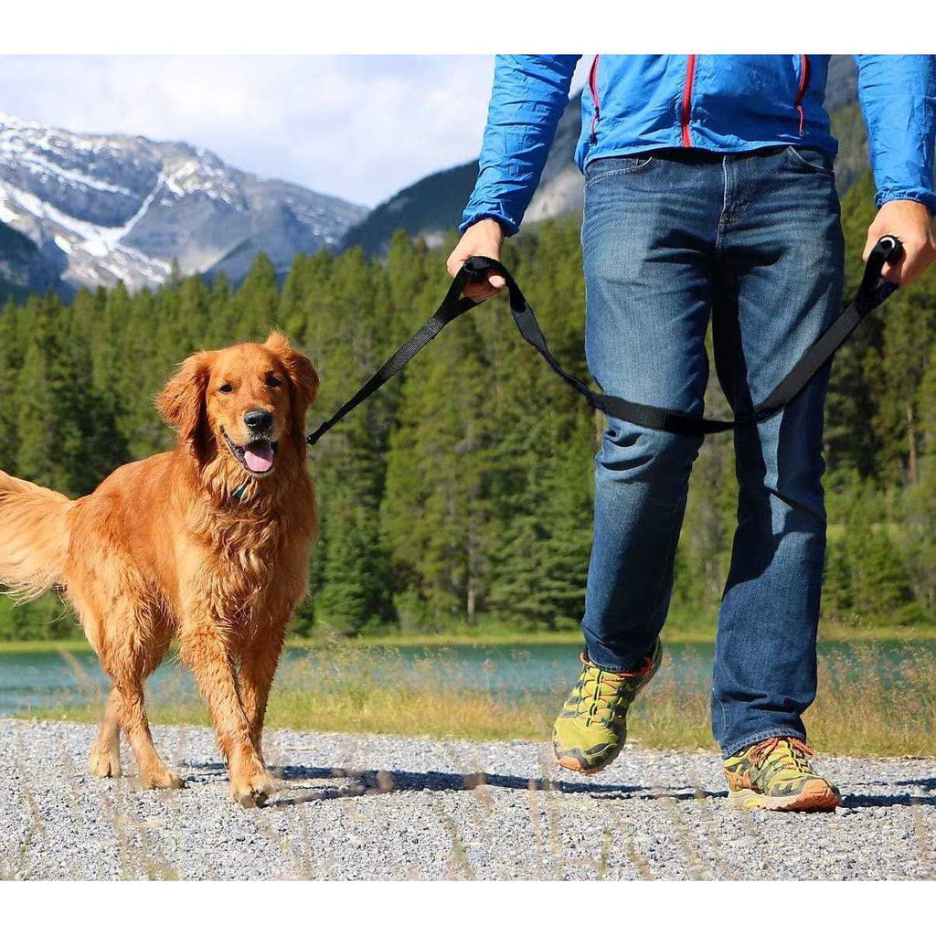 Heavy Duty Dog Leash Double Handle L9190
