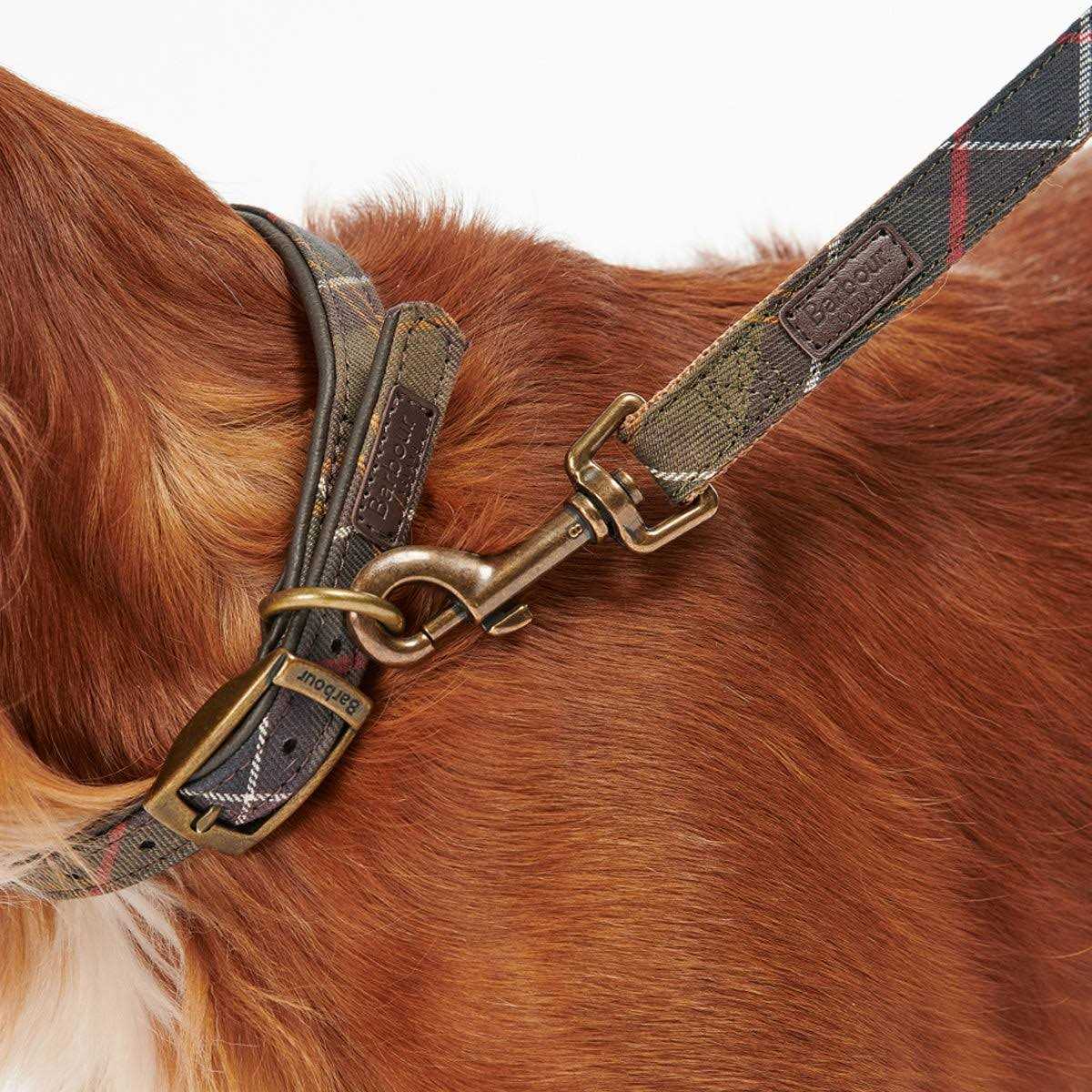 Tartan Webbing Collar N3995