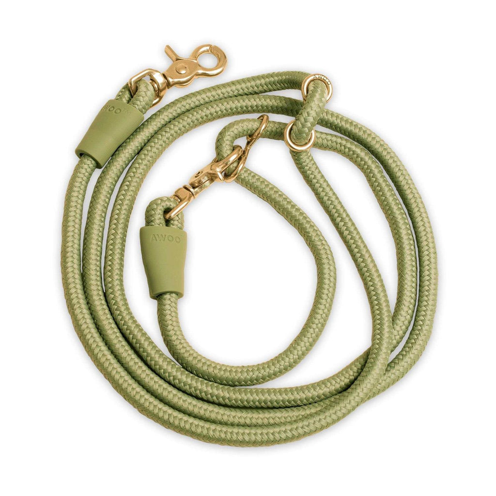 Leash Y607