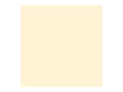 Ivory 8.5 in x 11 in 250 Sheet Card Stock U8936
