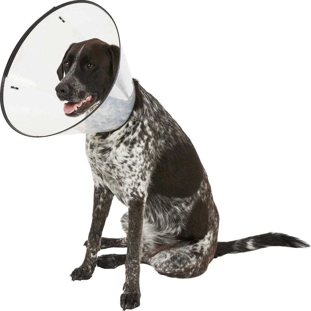 E-Collar XL Z112183