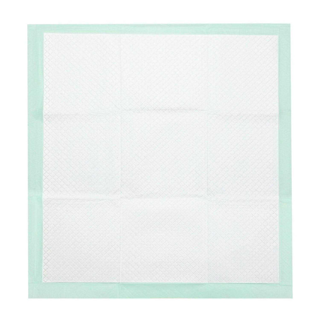 Super Absorbent Dog Training Pads R262